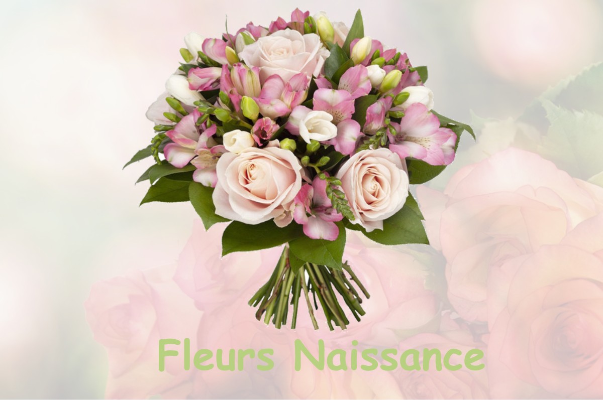 fleurs naissance CERISY-BULEUX